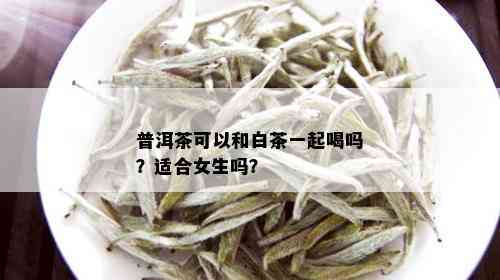 普洱茶可以和白茶一起喝吗？适合女生吗？