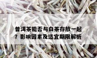 普洱茶能否与白茶存放一起？影响因素及适宜期限解析