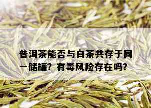 普洱茶能否与白茶共存于同一储罐？有风险存在吗？