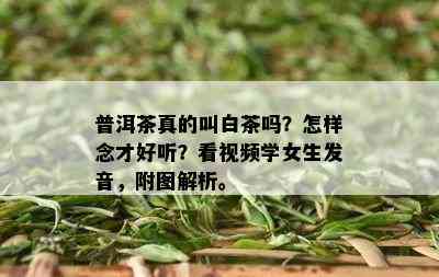 普洱茶真的叫白茶吗？怎样念才好听？看视频学女生发音，附图解析。