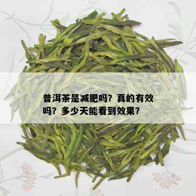 普洱茶是减肥吗？真的有效吗？多少天能看到效果？