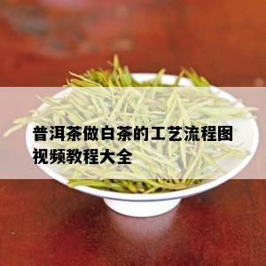 普洱茶做白茶的工艺流程图视频教程大全