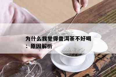 为什么我觉得普洱茶不好喝：原因解析