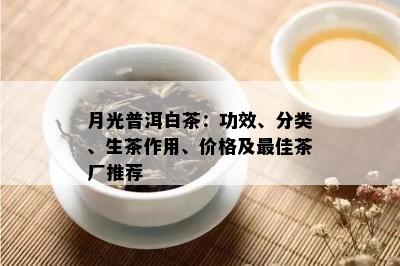 月光普洱白茶：功效、分类、生茶作用、价格及更佳茶厂推荐