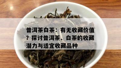 普洱茶白茶：有无收藏价值？探讨普洱茶、白茶的收藏潜力与适宜收藏品种