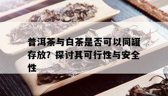 普洱茶与白茶是否可以同罐存放？探讨其可行性与安全性