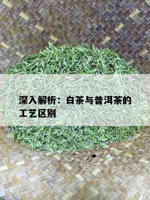 深入解析：白茶与普洱茶的工艺区别