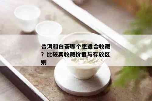 普洱和白茶哪个更适合收藏？比较其收藏价值与存放区别