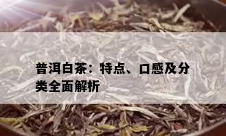 普洱白茶：特点、口感及分类全面解析