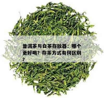 普洱茶与白茶存放器：哪个更好喝？存茶方式有何区别？