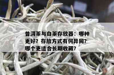 普洱茶与白茶存放器：哪种更好？存放方式有何异同？哪个更适合长期收藏？