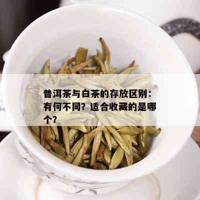 普洱茶与白茶的存放区别：有何不同？适合收藏的是哪个？