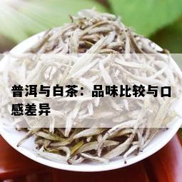 普洱与白茶：品味比较与口感差异