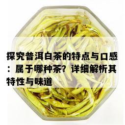 探究普洱白茶的特点与口感：属于哪种茶？详细解析其特性与味道