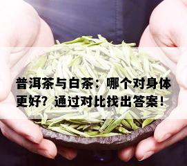 普洱茶与白茶：哪个对身体更好？通过对比找出答案！