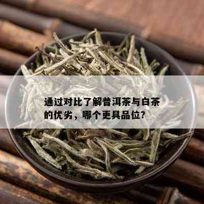 通过对比了解普洱茶与白茶的优劣，哪个更具品位?