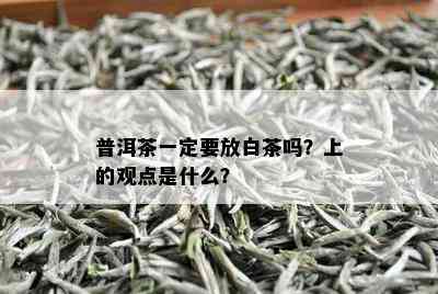 普洱茶一定要放白茶吗？上的观点是什么？