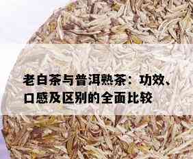 老白茶与普洱熟茶：功效、口感及区别的全面比较