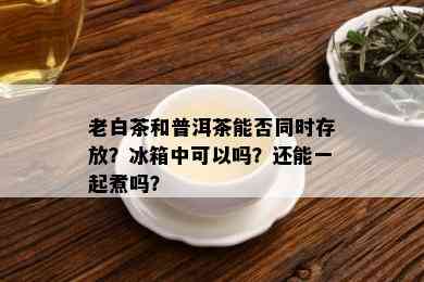 老白茶和普洱茶能否同时存放？冰箱中可以吗？还能一起煮吗？