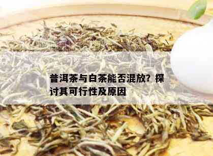 普洱茶与白茶能否混放？探讨其可行性及原因