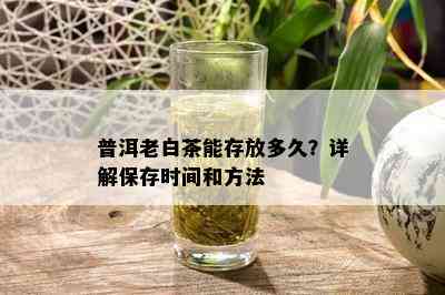 普洱老白茶能存放多久？详解保存时间和方法