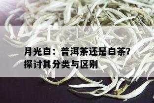 月光白：普洱茶还是白茶？探讨其分类与区别