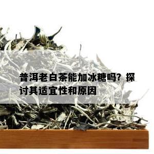 普洱老白茶能加冰糖吗？探讨其适宜性和原因