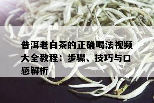 普洱老白茶的正确喝法视频大全教程：步骤、技巧与口感解析