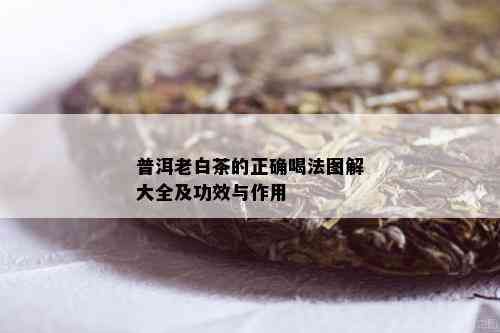 普洱老白茶的正确喝法图解大全及功效与作用