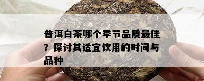 普洱白茶哪个季节品质更佳？探讨其适宜饮用的时间与品种