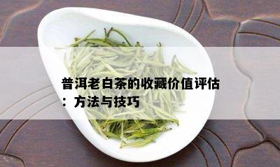 普洱老白茶的收藏价值评估：方法与技巧