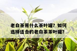 老白茶用什么茶叶罐？如何选择适合的老白茶茶叶罐？