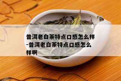 普洱老白茶特点口感怎么样-普洱老白茶特点口感怎么样啊