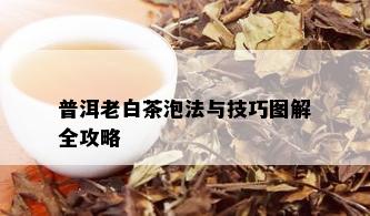 普洱老白茶泡法与技巧图解全攻略