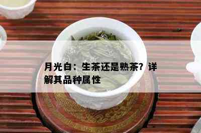 月光白：生茶还是熟茶？详解其品种属性