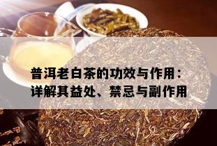 普洱老白茶的功效与作用：详解其益处、禁忌与副作用