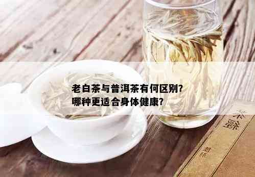 老白茶与普洱茶有何区别？哪种更适合身体健康？