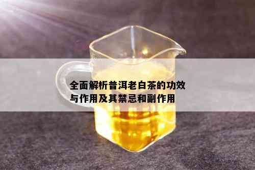 全面解析普洱老白茶的功效与作用及其禁忌和副作用