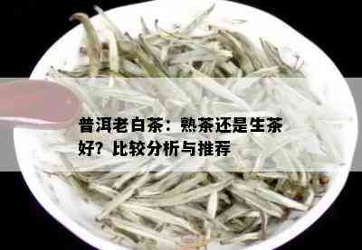 普洱老白茶：熟茶还是生茶好？比较分析与推荐