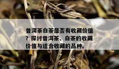 普洱茶白茶是否有收藏价值？探讨普洱茶、白茶的收藏价值与适合收藏的品种。