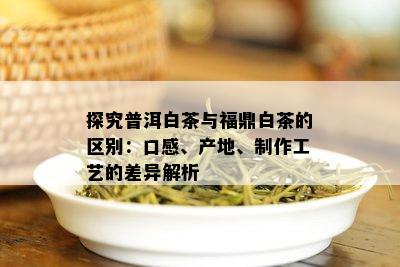 探究普洱白茶与福鼎白茶的区别：口感、产地、制作工艺的差异解析