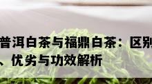 普洱白茶与福鼎白茶：区别、优劣与功效解析