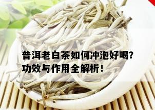 普洱老白茶如何冲泡好喝？功效与作用全解析！