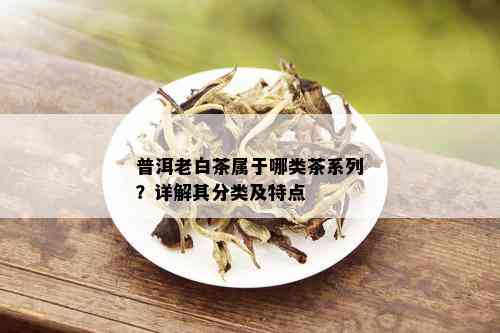 普洱老白茶属于哪类茶系列？详解其分类及特点