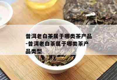 普洱老白茶属于哪类茶产品-普洱老白茶属于哪类茶产品类型