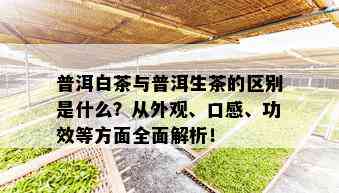 普洱白茶与普洱生茶的区别是什么？从外观、口感、功效等方面全面解析！