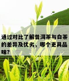 通过对比了解普洱茶与白茶的差异及优劣，哪个更具品味?