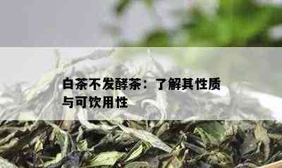 白茶不发酵茶：了解其性质与可饮用性