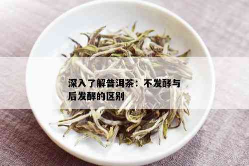 深入了解普洱茶：不发酵与后发酵的区别