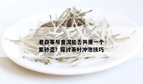 老白茶与普洱能否共用一个紫砂壶？探讨茶叶冲泡技巧